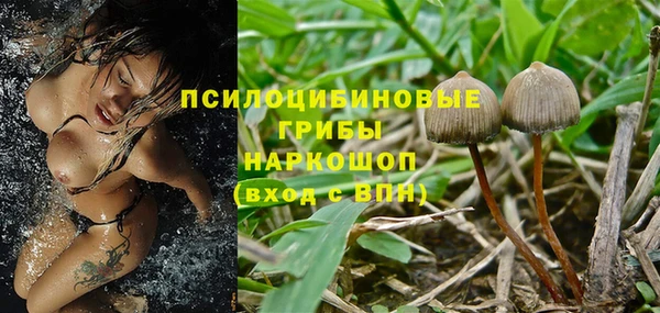 ешки Абинск