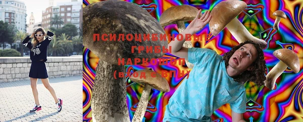 ешки Абинск