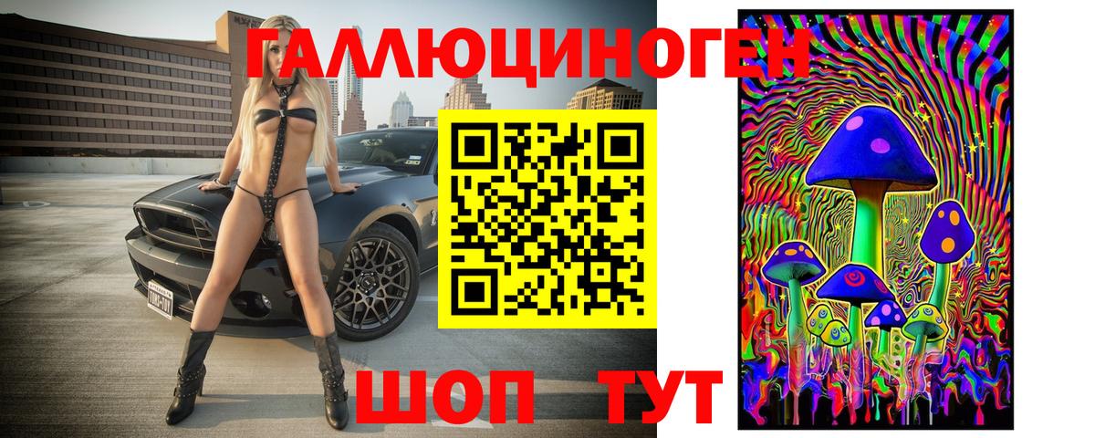 Псилоцибиновые грибы Psilocybine cubensis Керчь