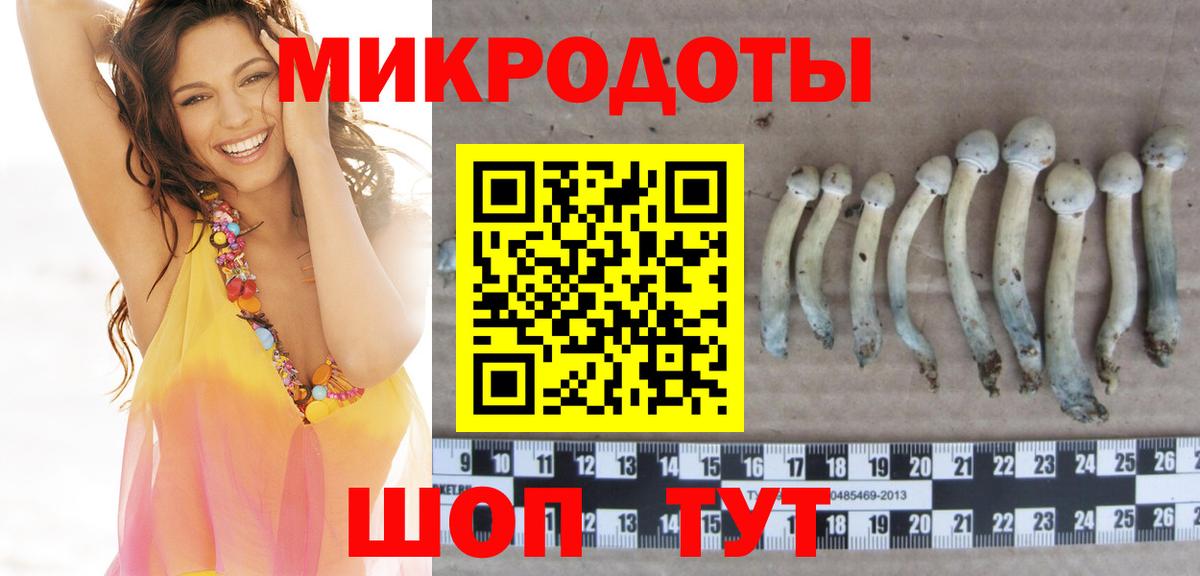 Псилоцибиновые грибы GOLDEN TEACHER  Псилоцибиновые грибы GOLDEN TEACHER  Вход с VPN  Керчь 